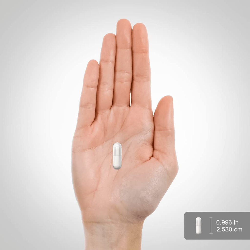 MSM Supplement 1000mg 150 Powder Capsules E455258