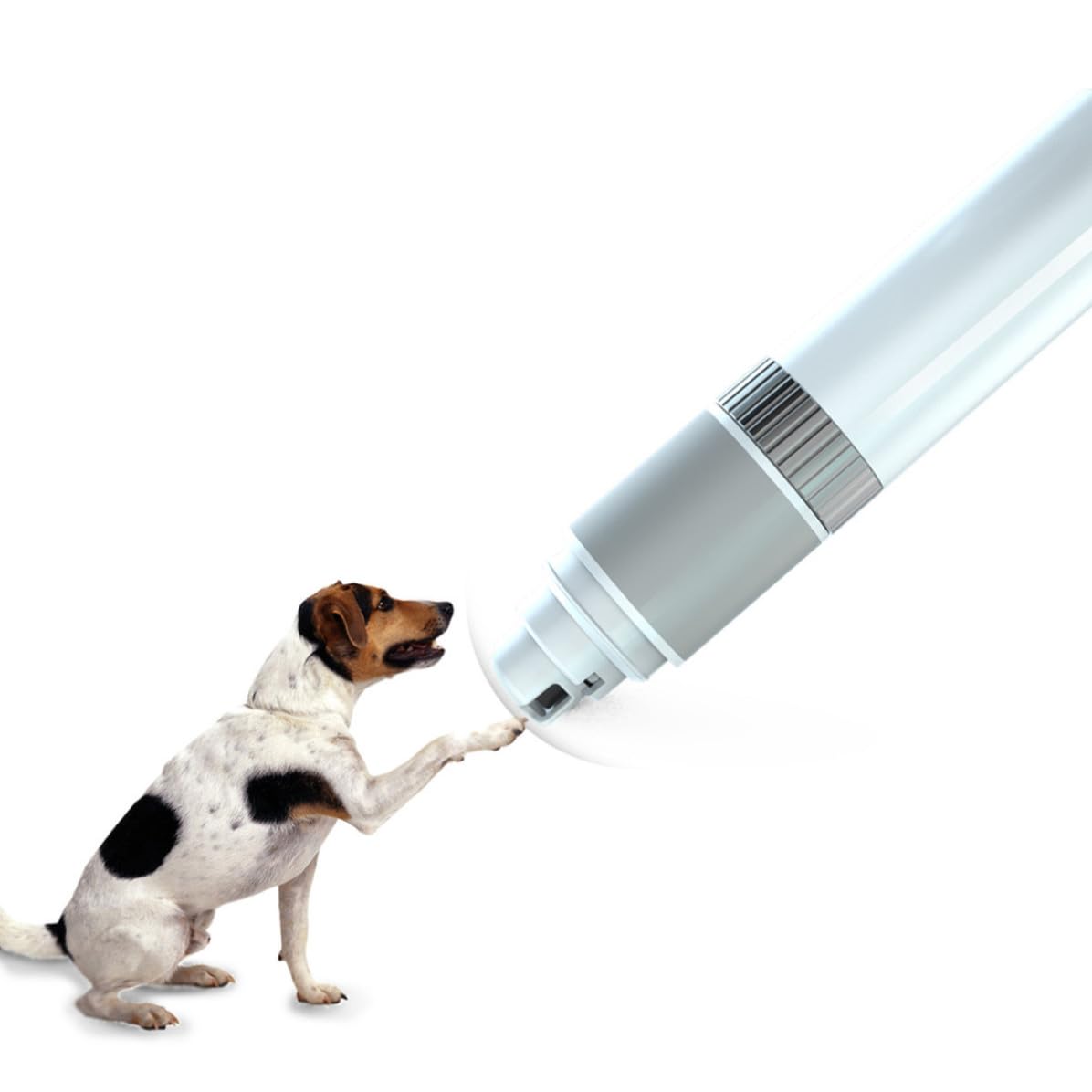 Electric Pet Nail Grinder White L840