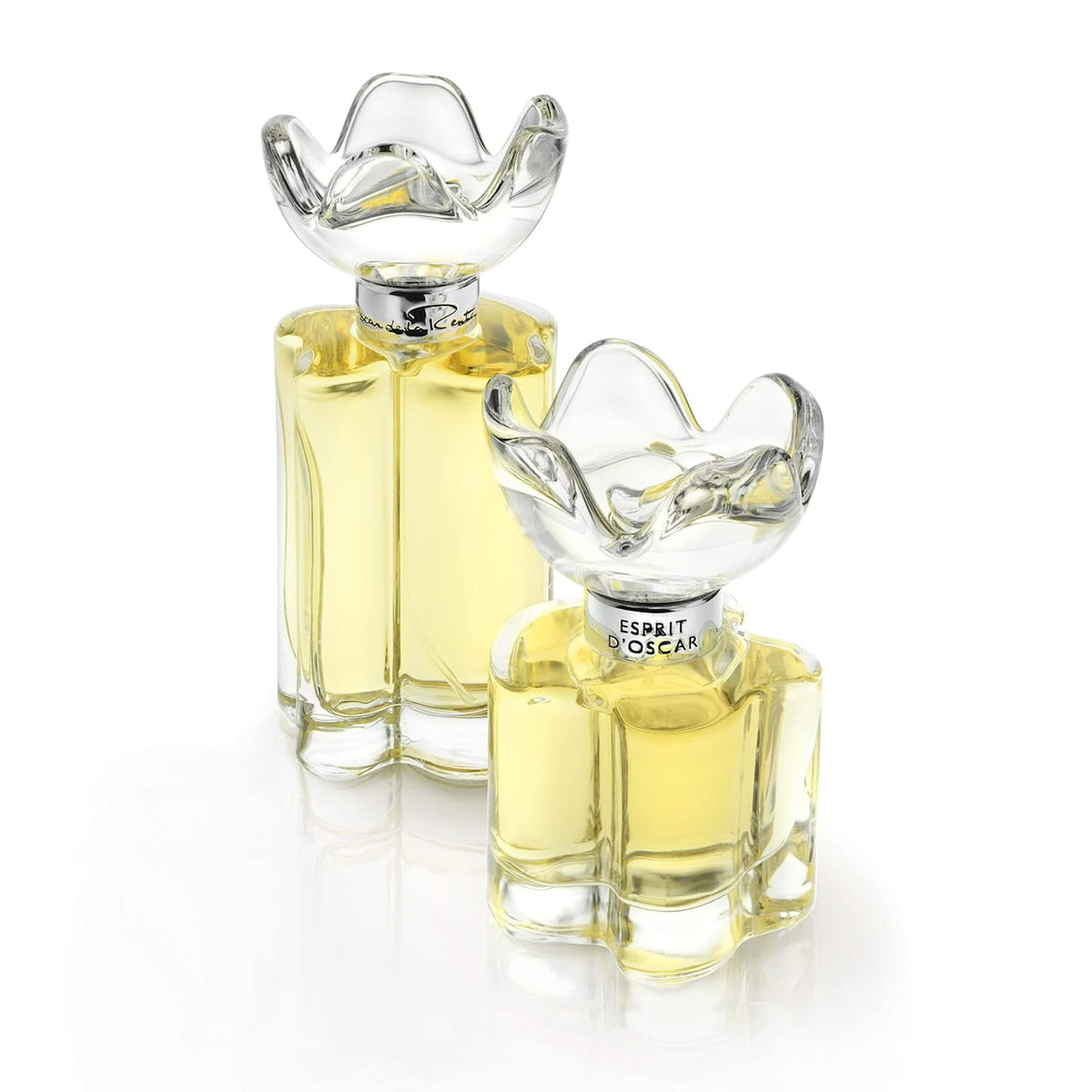 Eau de Parfum Perfume Spray 3.4 Fl. Oz. J709