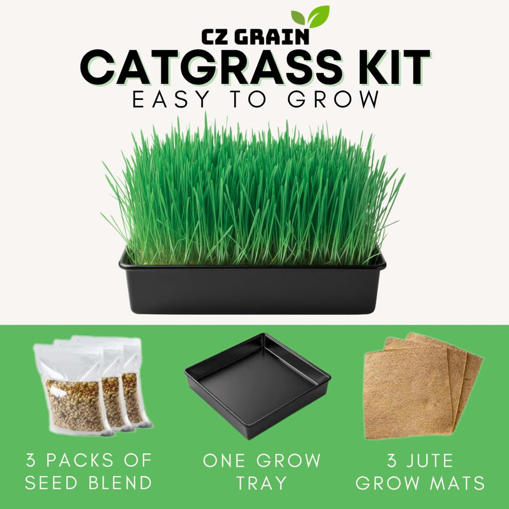 Cat Grass Growing Kit with Organic Seed and Jute Grow Mats O834077