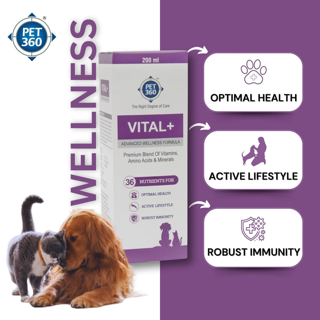 Multivitamin Syrup Nutritional Supplement for Dogs & Cats 200 ml K331