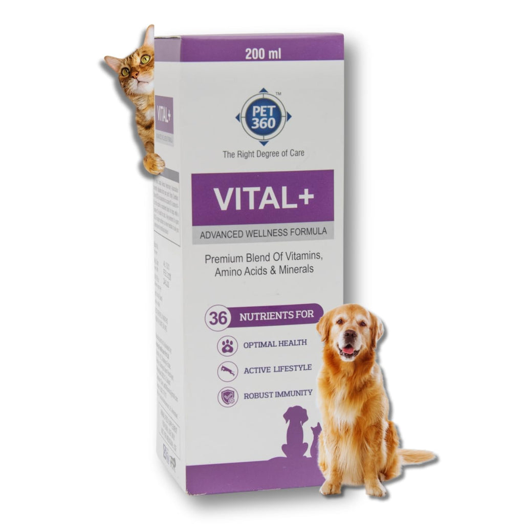 Multivitamin Syrup Nutritional Supplement for Dogs & Cats 200 ml K331