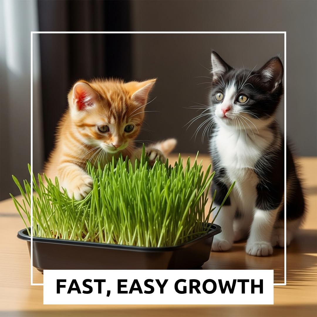 Cat Grass Growing Kit with Organic Seed and Jute Grow Mats O834077