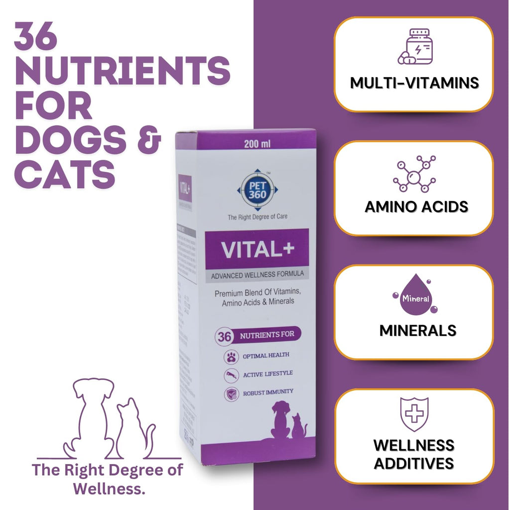 Multivitamin Syrup Nutritional Supplement for Dogs & Cats 200 ml K331