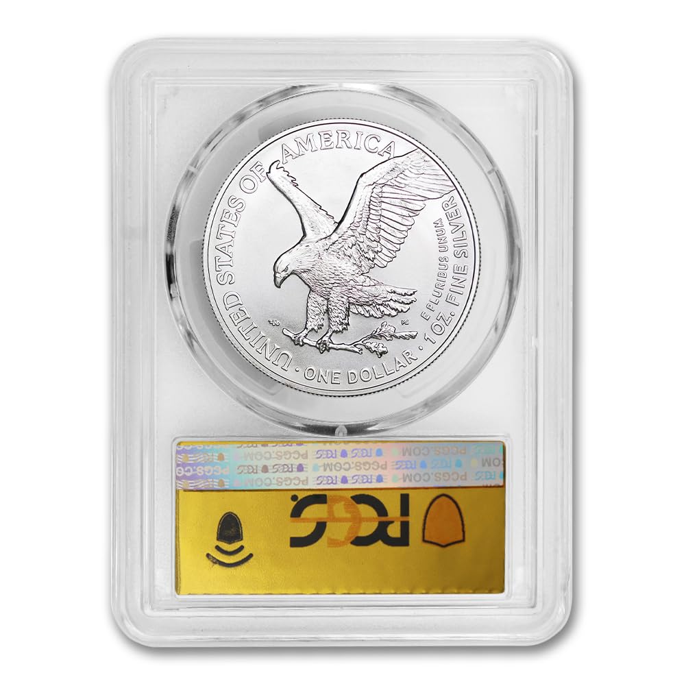 1 oz American Silver Eagle Coin MS-70 P476