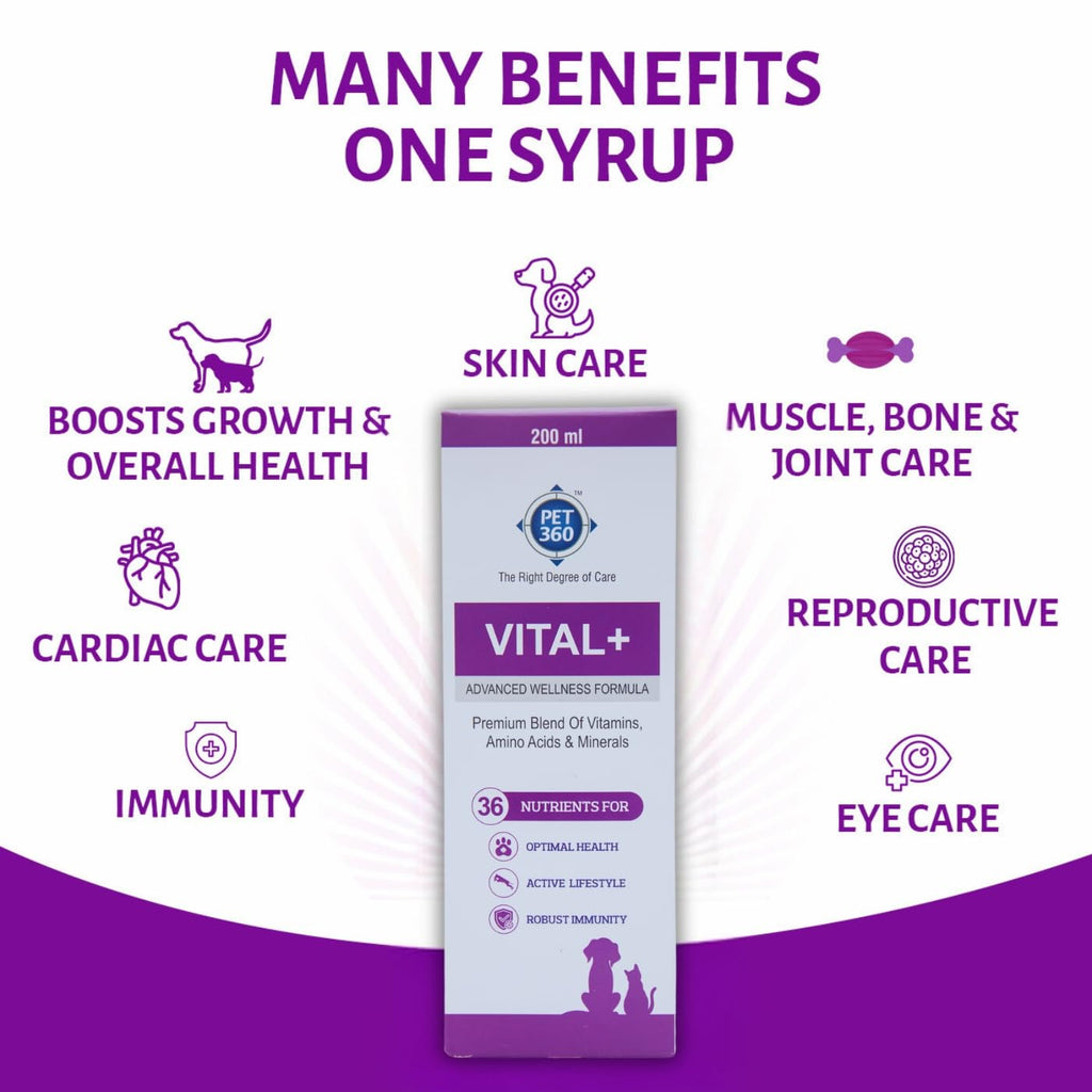 Multivitamin Syrup Nutritional Supplement for Dogs & Cats 200 ml K331