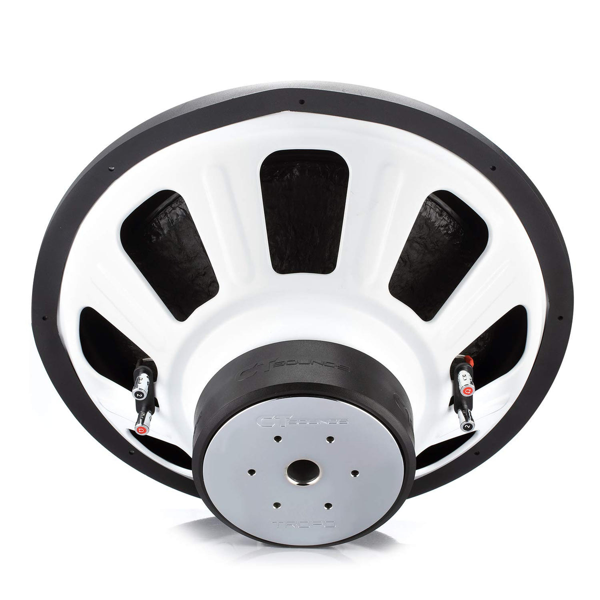18 Inch Car Subwoofer Dual 2 Ohm O114333