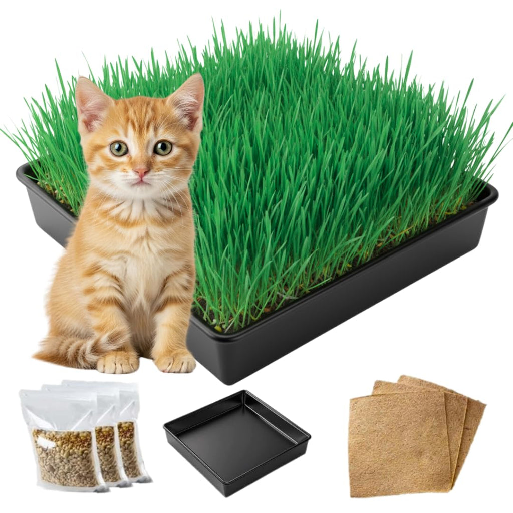 Cat Grass Growing Kit with Organic Seed and Jute Grow Mats O834077