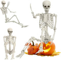 Life Size Full Body Skeleton Prop I5657