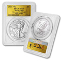 1 oz American Silver Eagle Coin MS-70 P476