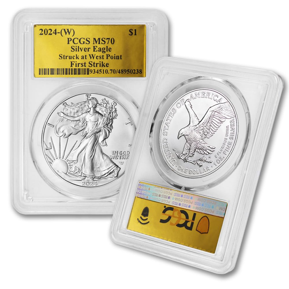 1 oz American Silver Eagle Coin MS-70 P476