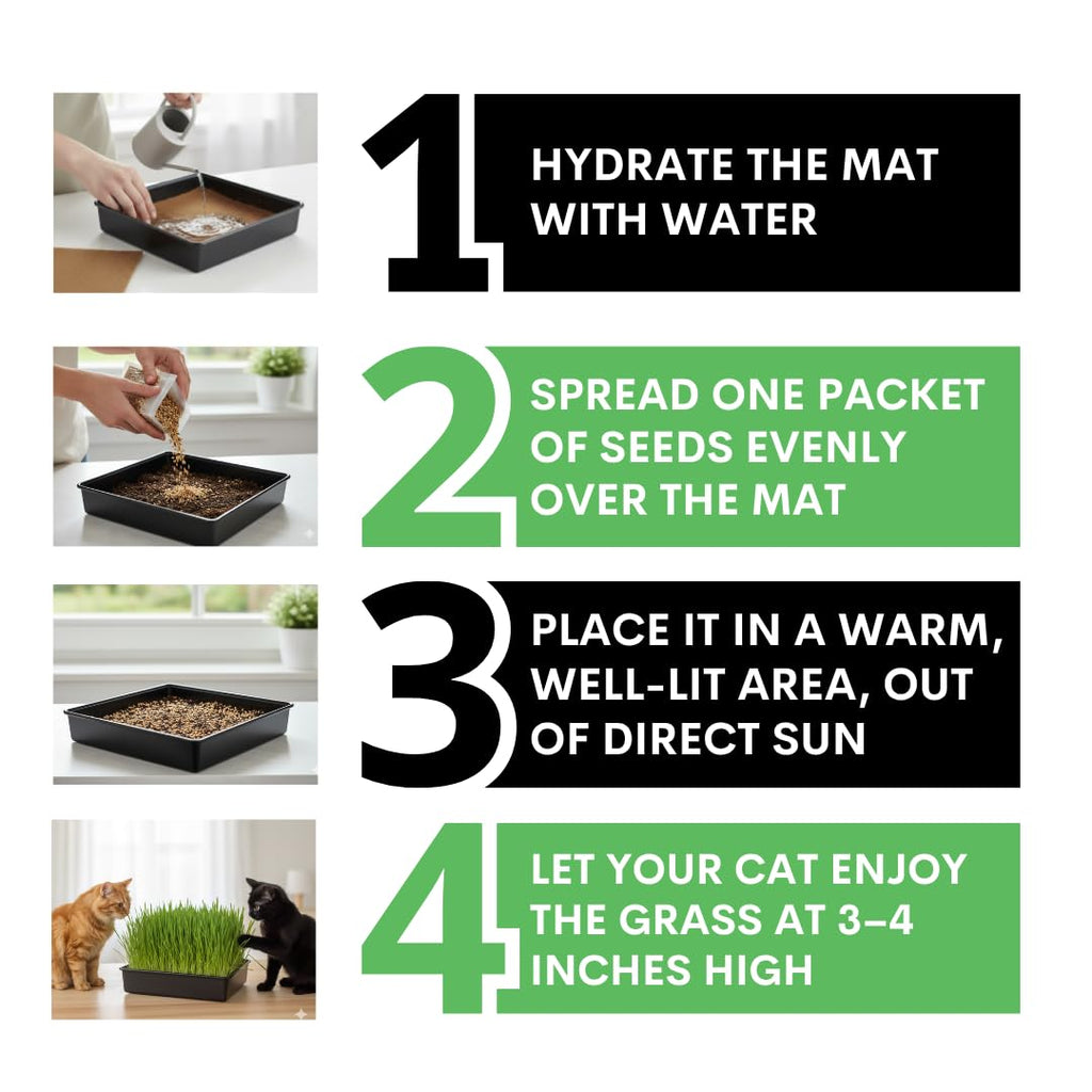 Cat Grass Growing Kit with Organic Seed and Jute Grow Mats O834077