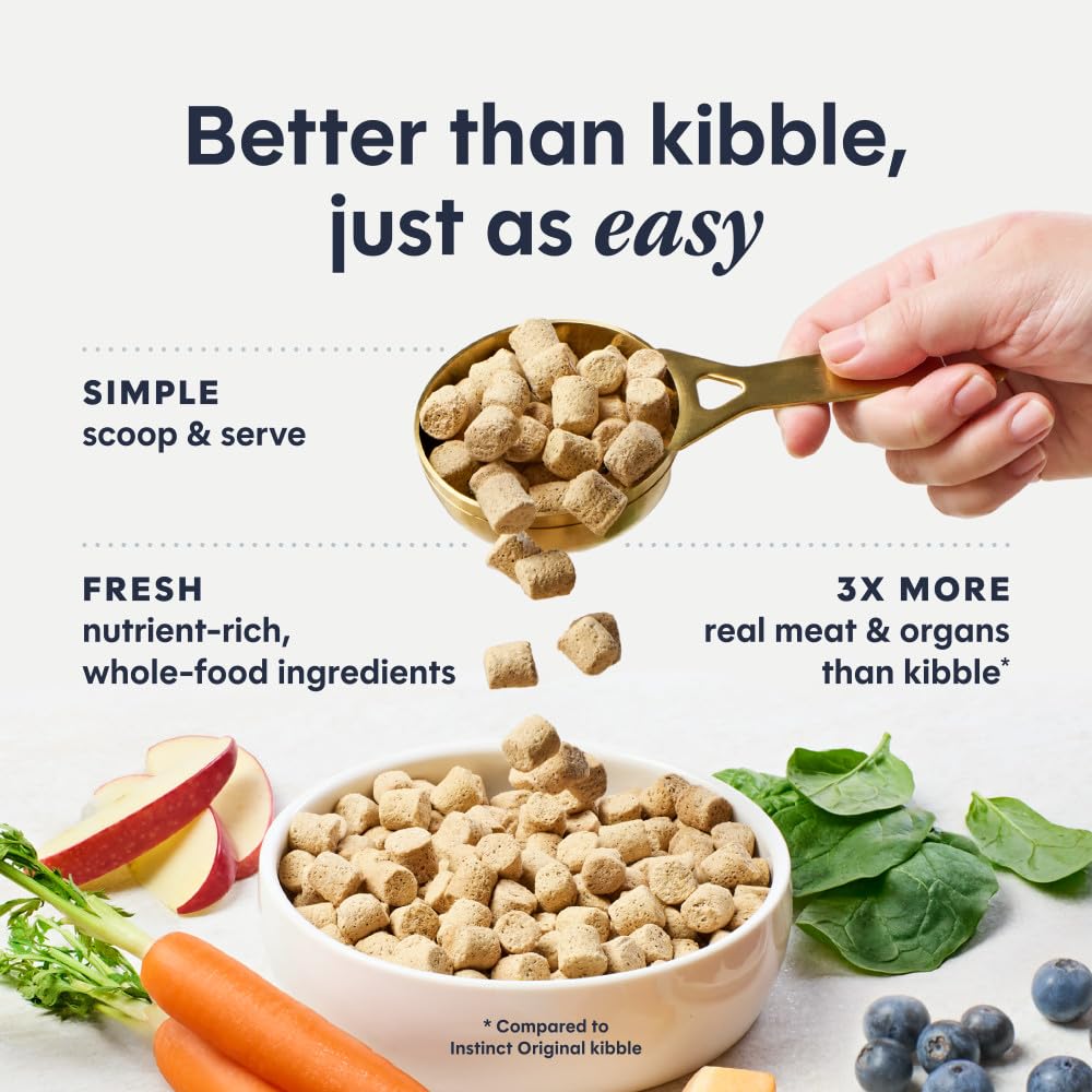 Freeze Dried Raw Chicken Cat Food 9.5 oz S8026