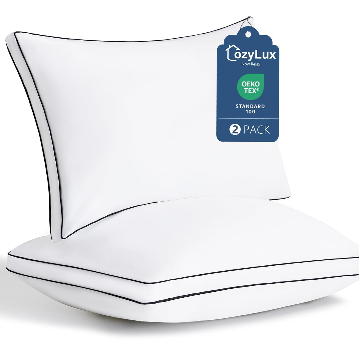 Queen Size Set of 2 Gusseted Bed Pillow A29227