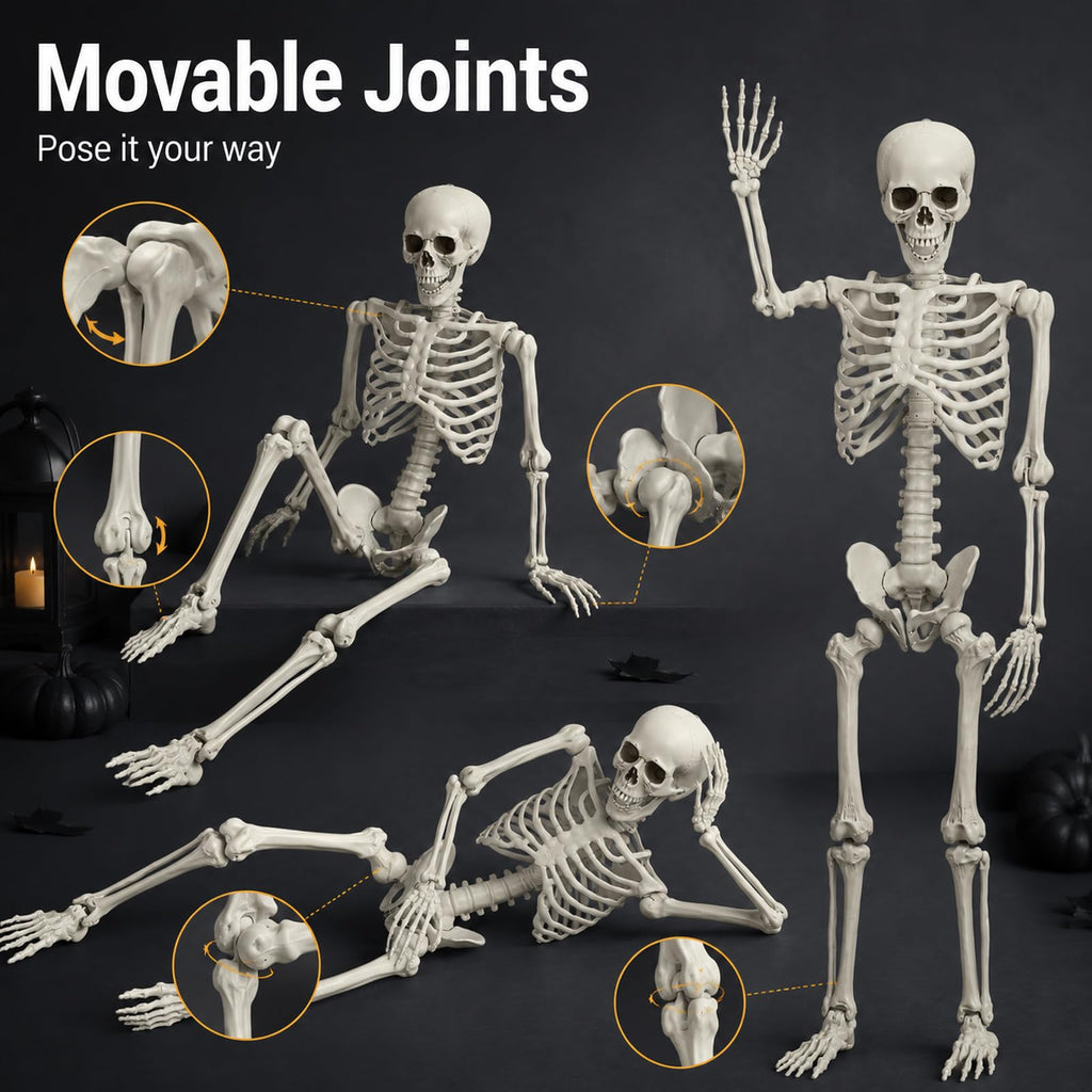 Life Size Full Body Skeleton Prop I5657