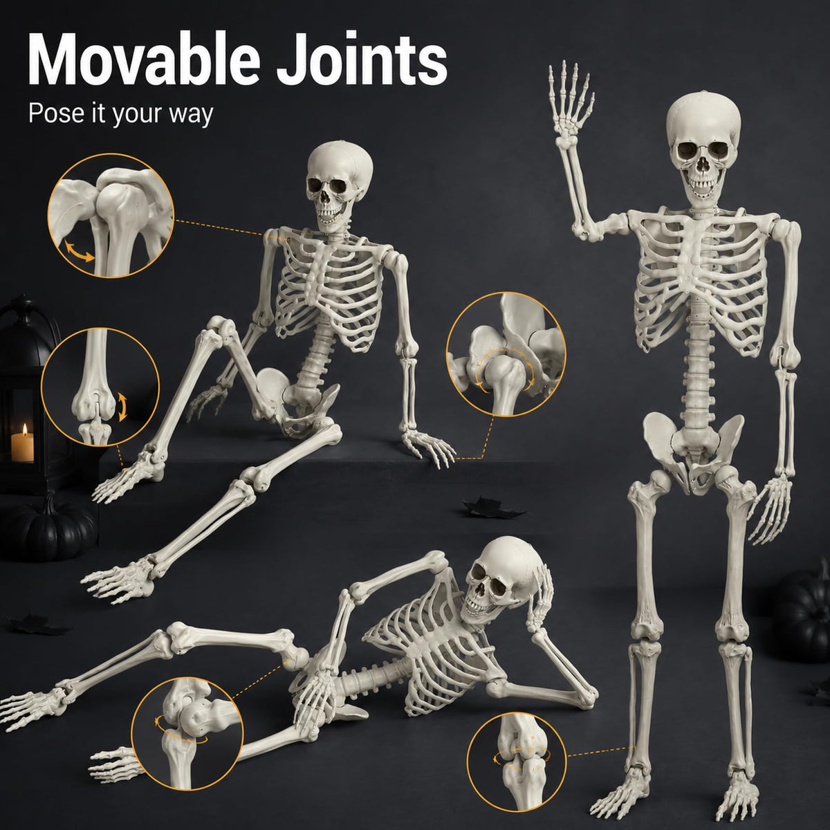 Life Size Full Body Skeleton Prop I5657