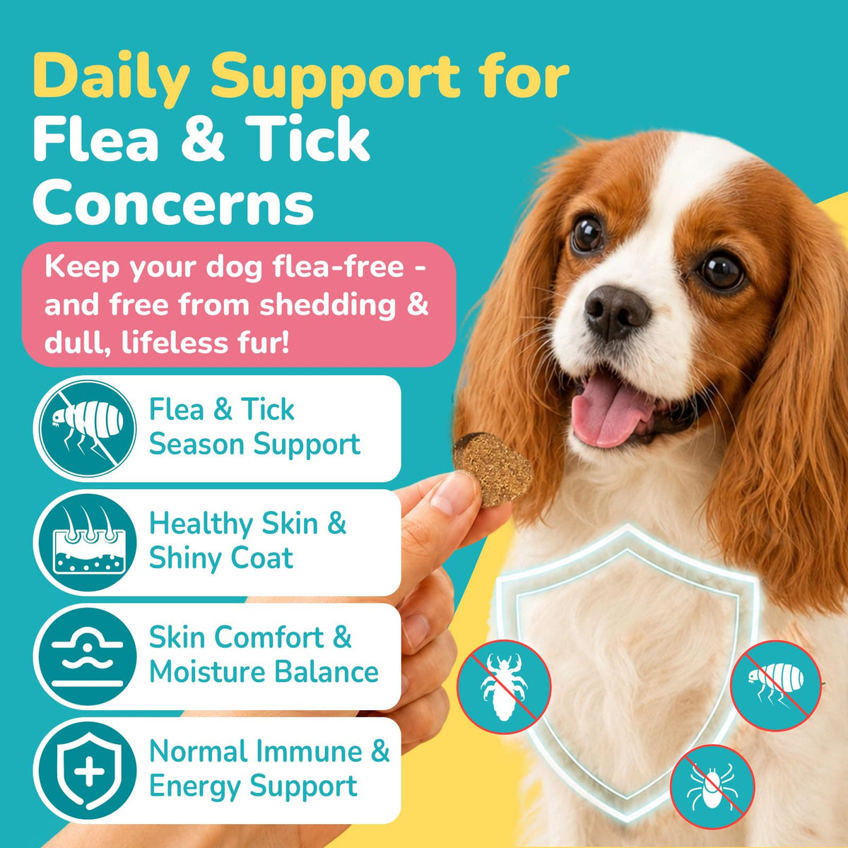 Soft Chews Chicken Flavor Flea and Tick Prevention for Dogs R920