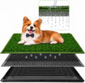 3 Layer Dog Grass Pad with Tray 30" x 20" V50995