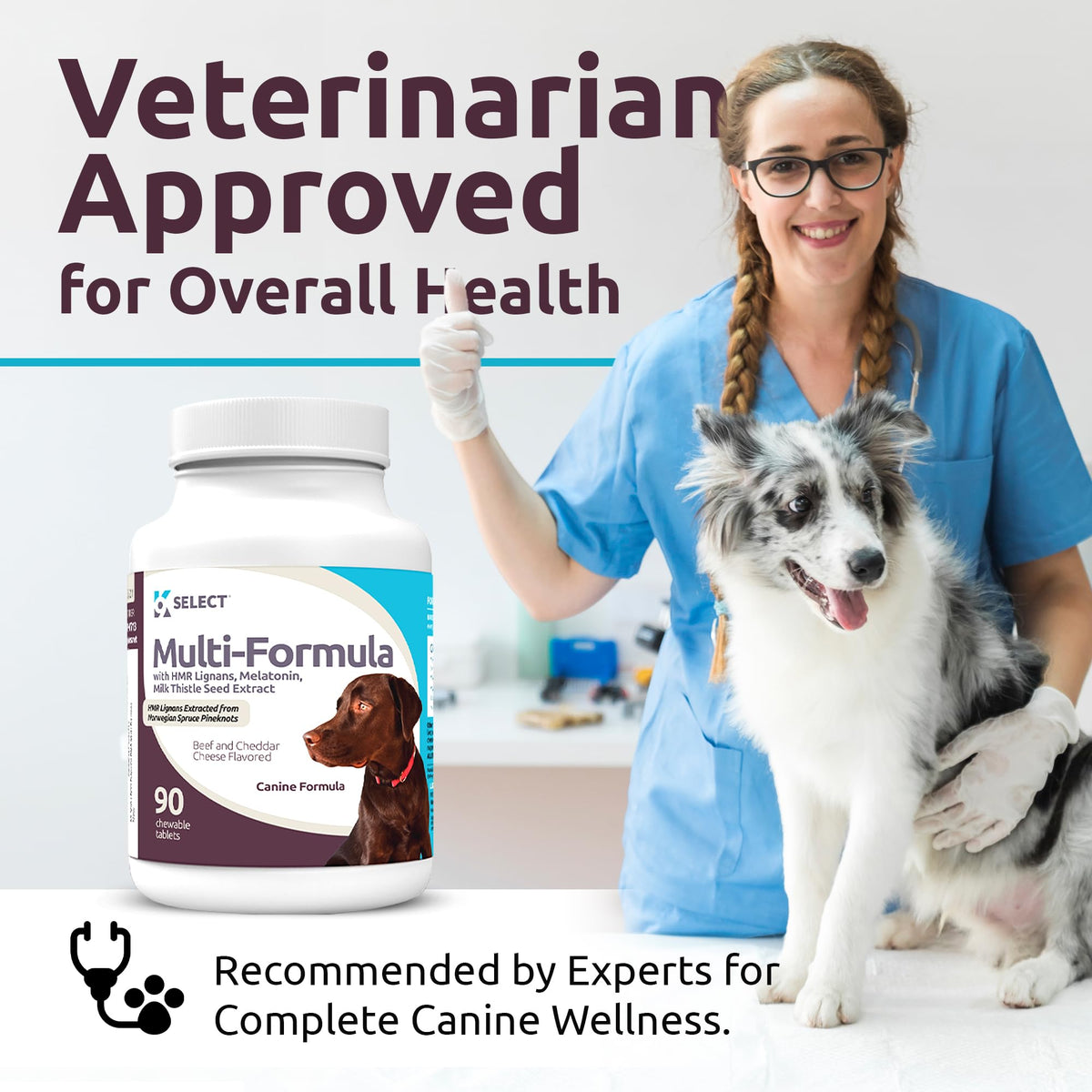 90 Tablets Beef Flavor Dog Multivitamin V877597
