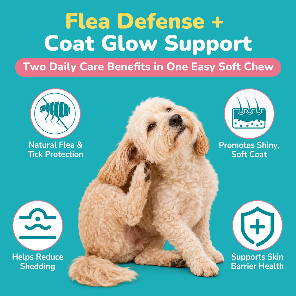 Soft Chews Chicken Flavor Flea and Tick Prevention for Dogs R920