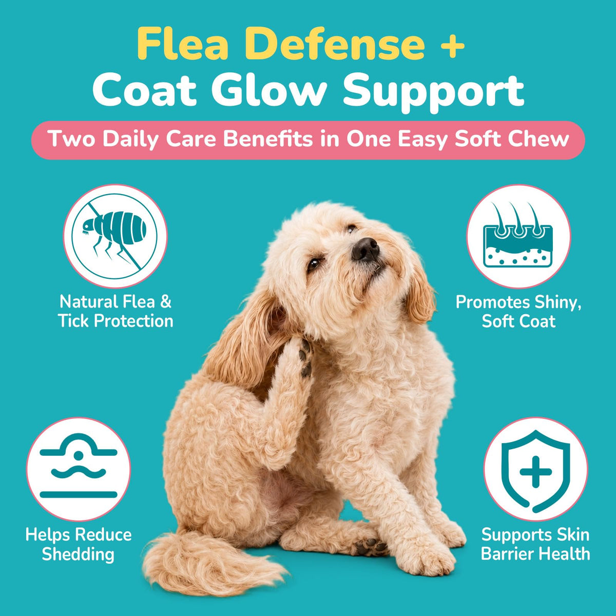 Soft Chews Chicken Flavor Flea and Tick Prevention for Dogs R920
