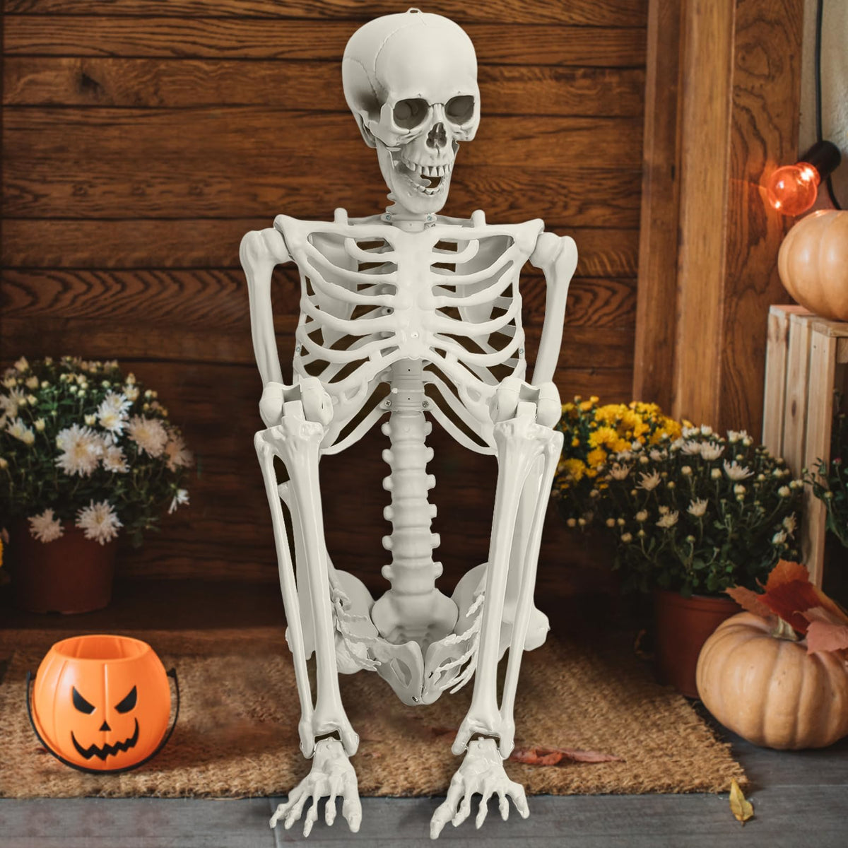 Life Size Full Body Skeleton Prop I5657
