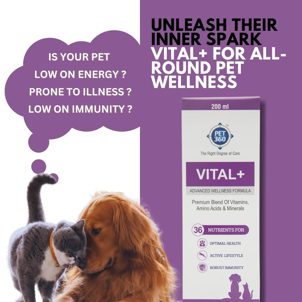 Multivitamin Syrup Nutritional Supplement for Dogs & Cats 200 ml K331
