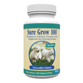 100 Chewable Tablets with Calcium, Phosphorus, and Vitamins A & D Q809