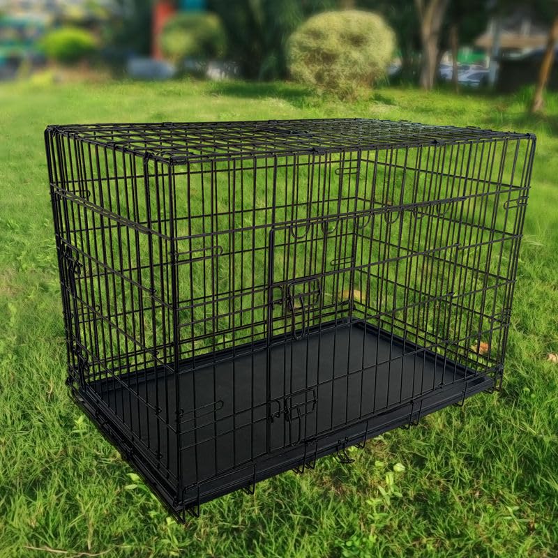 48-Inch Folding Metal Dog Crate with Divider, Tray, and Carry Handle M1247
