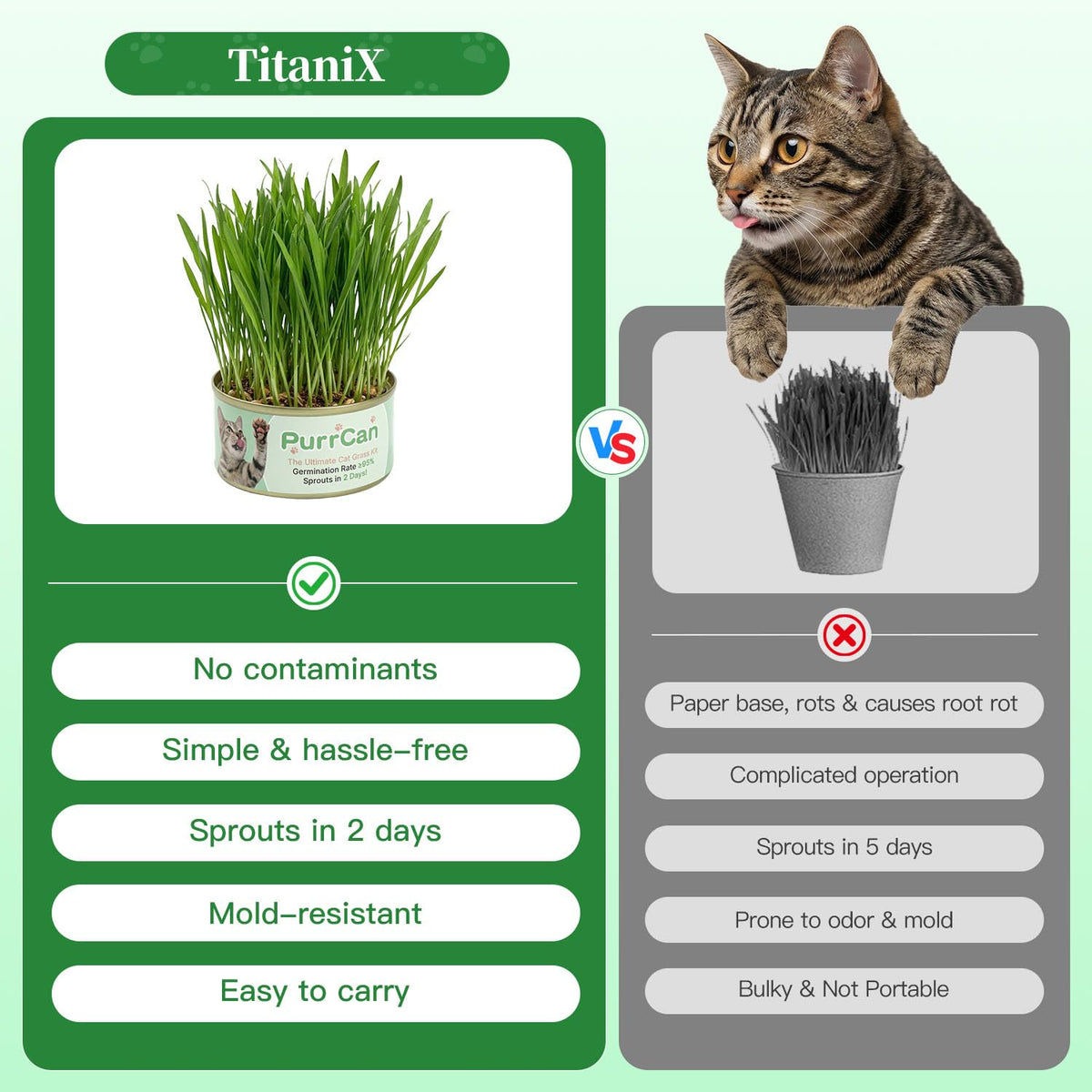 4 Can Cat Grass Kit with Non-GMO Organic Wheat Seeds Z4598