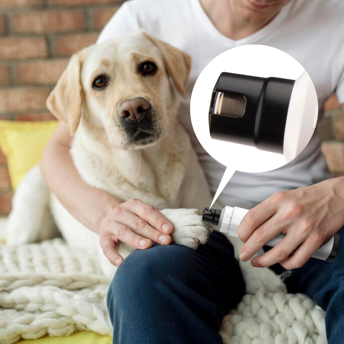 Quiet 2-Speed Type-C Rechargeable Dog Nail Grinder P42858