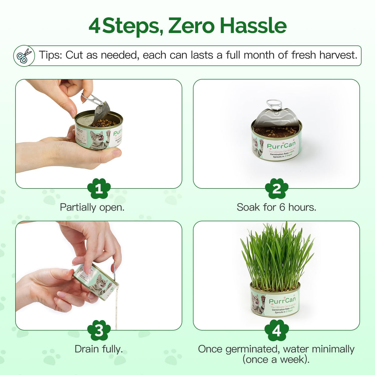 4 Can Cat Grass Kit with Non-GMO Organic Wheat Seeds Z4598