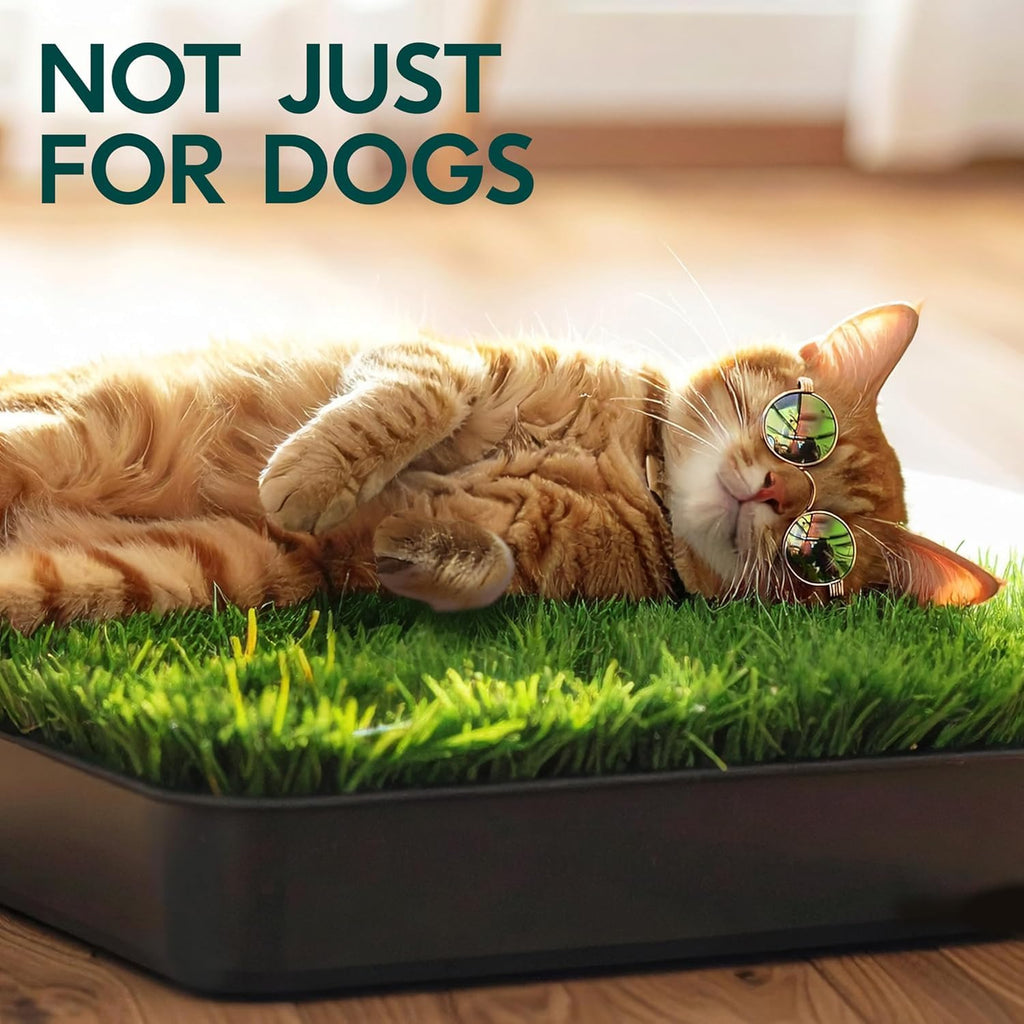 23”x35” Artificial Grass Dog Potty Pad with Tray G401