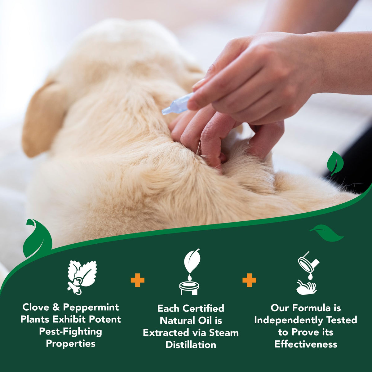 Flea & Tick Drops for Large Dogs G698