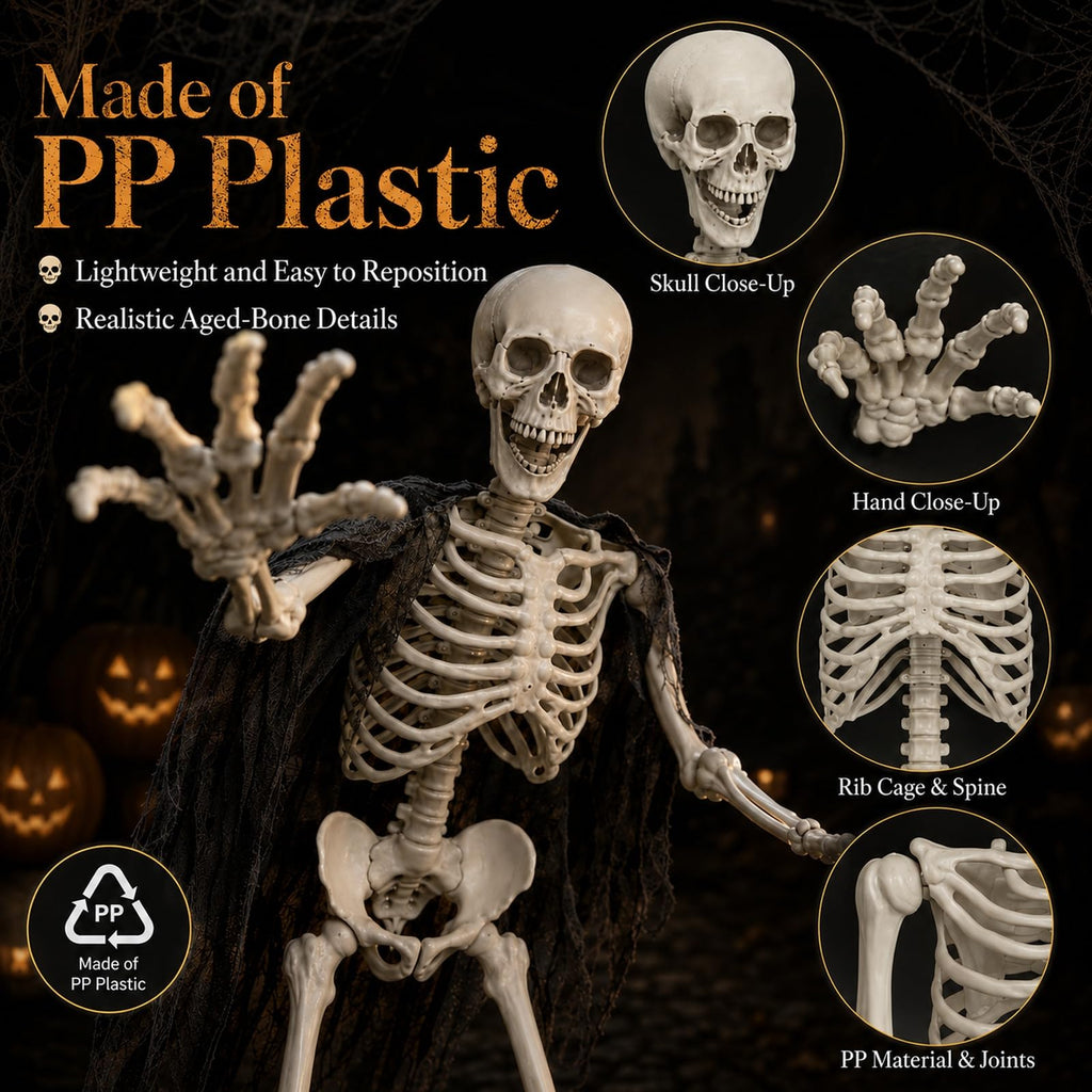 Life Size Full Body Skeleton Prop I5657