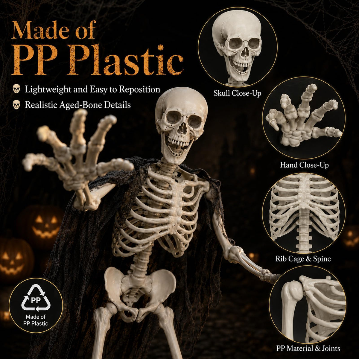 Life Size Full Body Skeleton Prop I5657