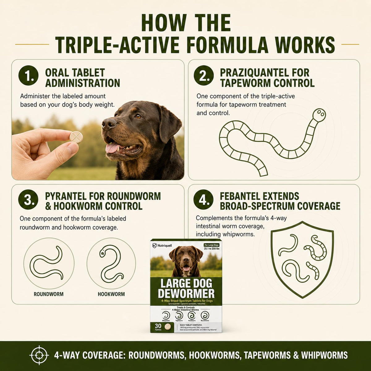 Medium and Large Dog Dewormer Tablets V8577