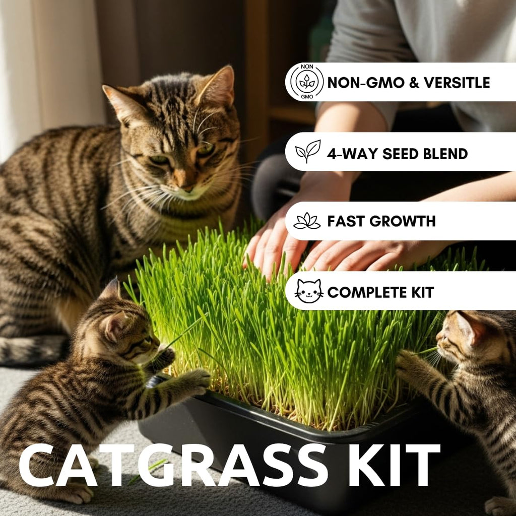 Cat Grass Growing Kit with Organic Seed and Jute Grow Mats O834077