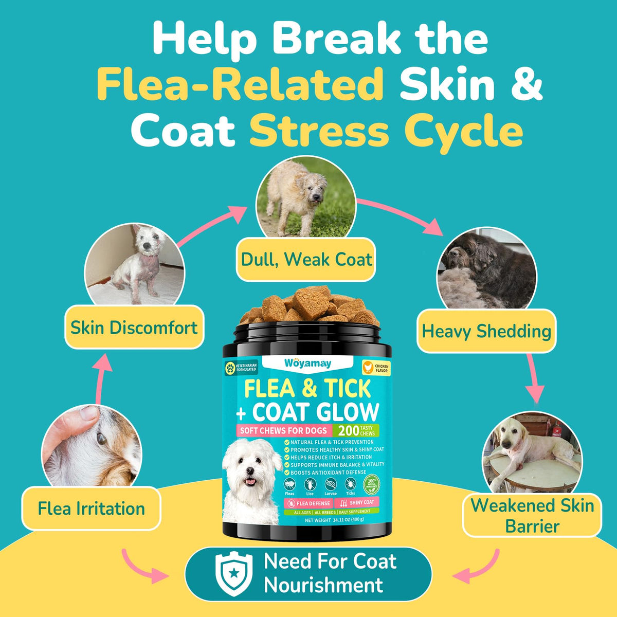 Soft Chews Chicken Flavor Flea and Tick Prevention for Dogs R920