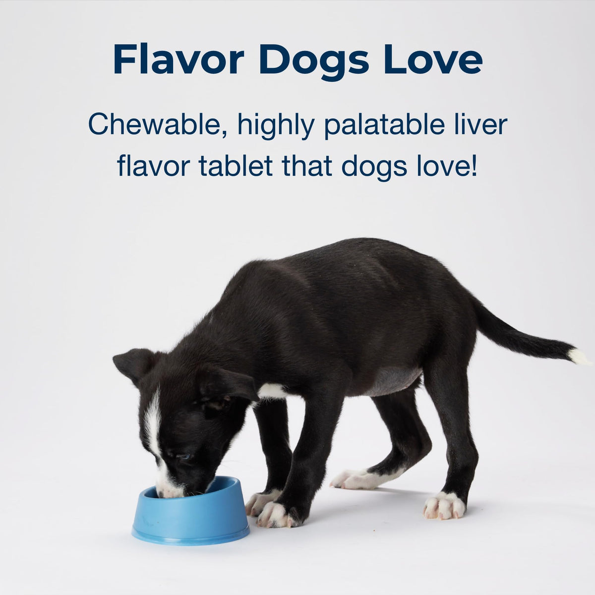 100 Chewable Tablets with Calcium, Phosphorus, and Vitamins A & D Q809