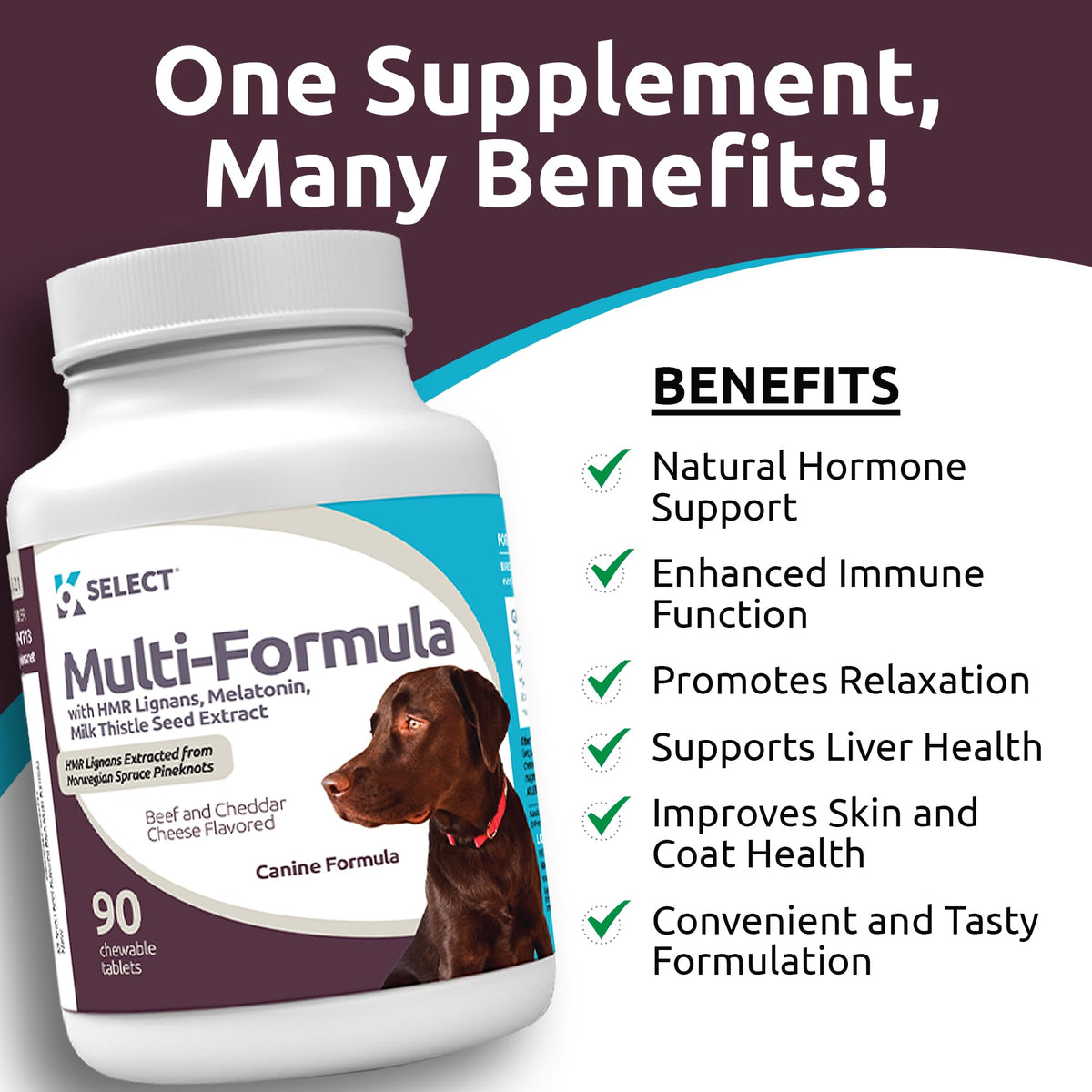 90 Tablets Beef Flavor Dog Multivitamin V877597