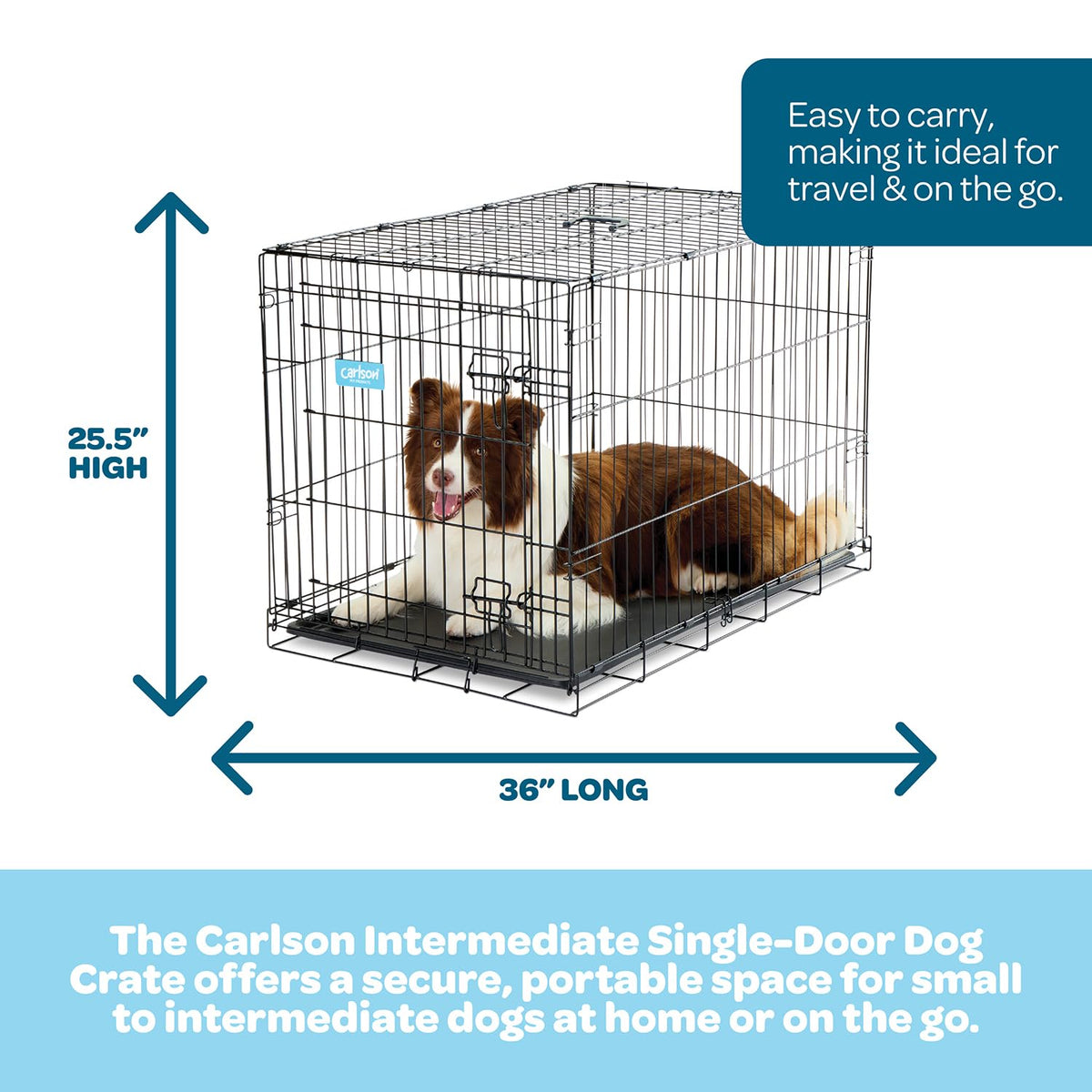 36" Foldable Metal Dog Crate with Removable Tray S72750