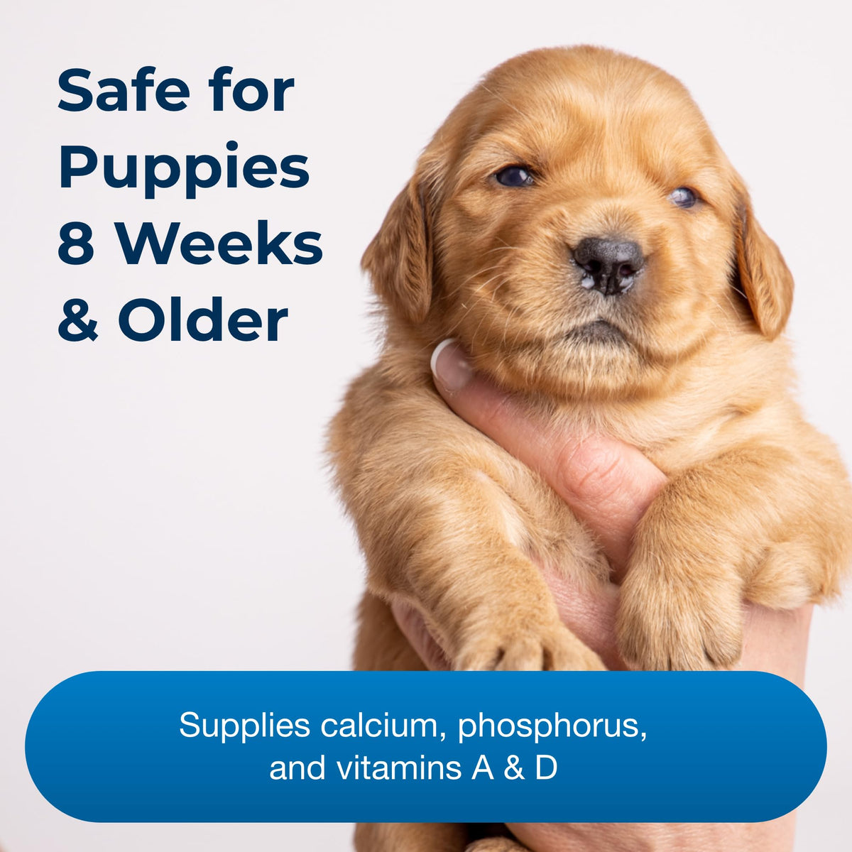100 Chewable Tablets with Calcium, Phosphorus, and Vitamins A & D Q809