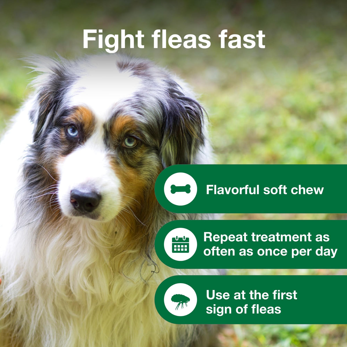 Soft Chew Flea Treatment for Dogs 23-110 lbs. 7 ct M87657