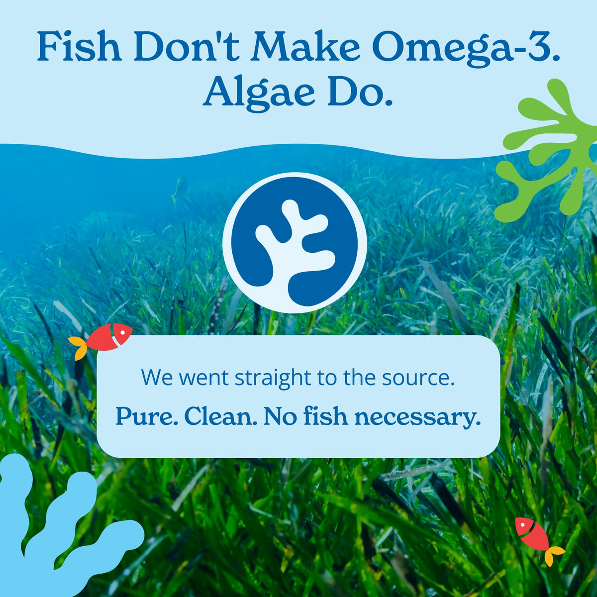 Vegan Omega 3 Algae Oil 120 Count Softgels M523164