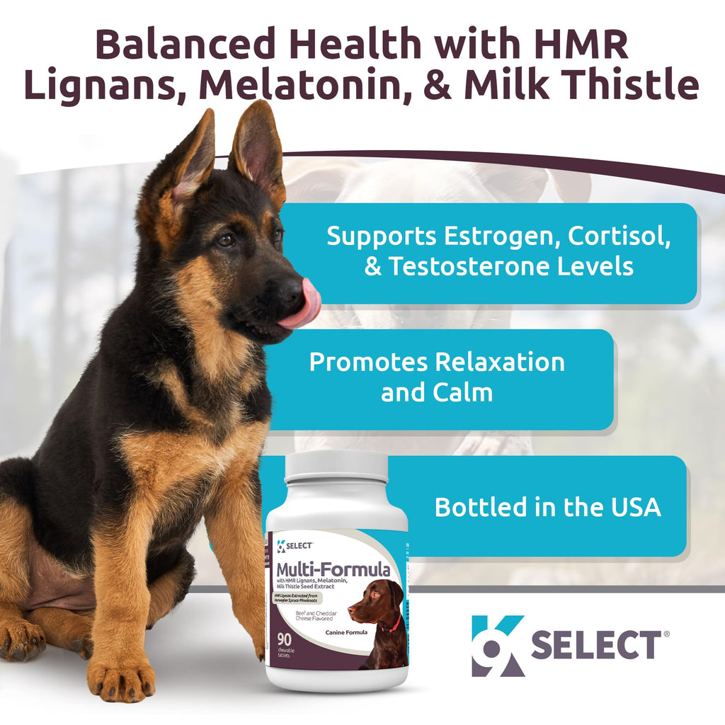 90 Tablets Beef Flavor Dog Multivitamin V877597