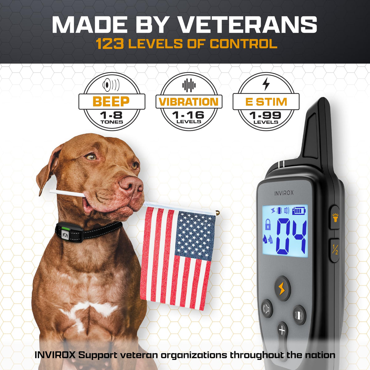 Dog Training Collar with Remote T17063