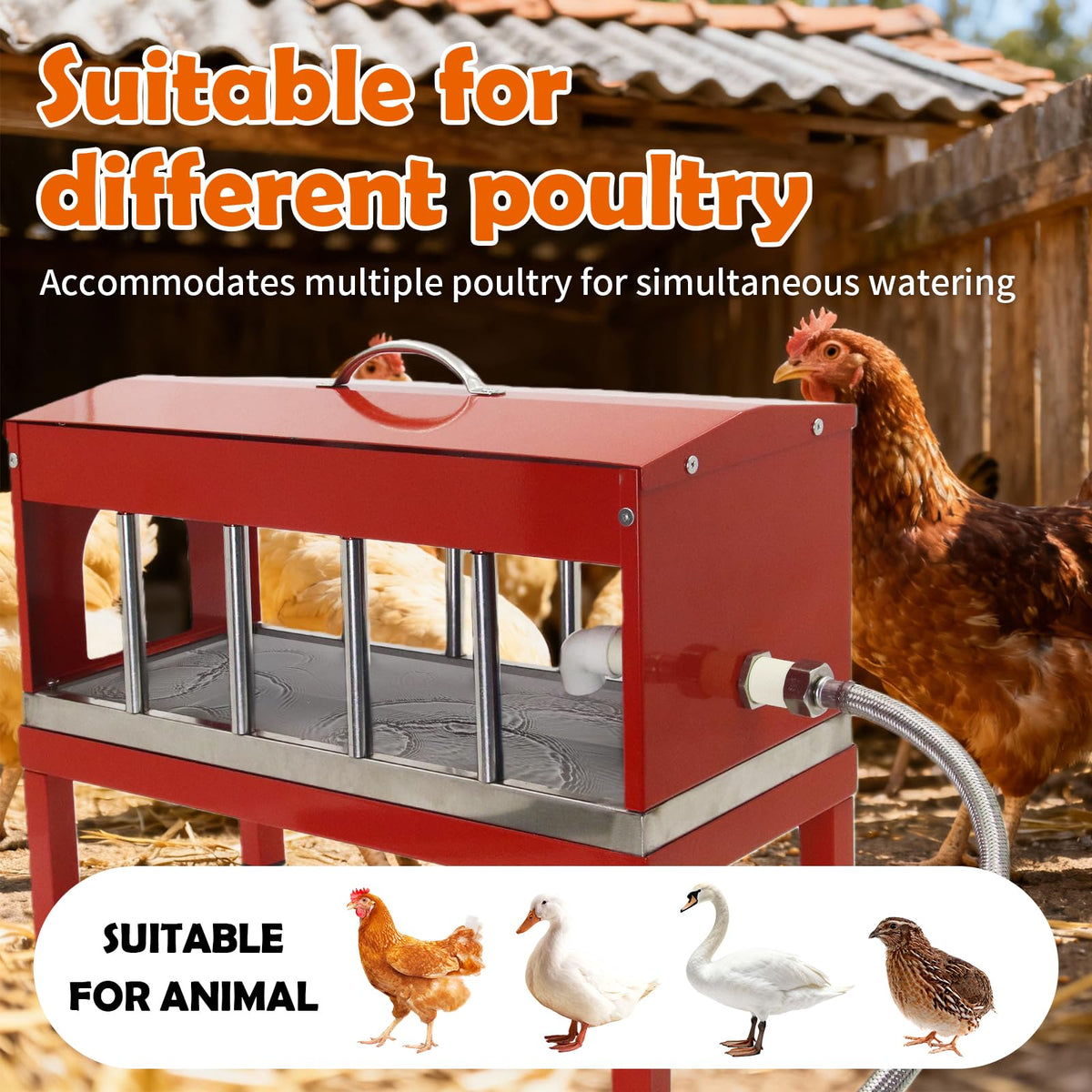 Automatic Stainless Steel Poultry Waterer with Float Valve W134253