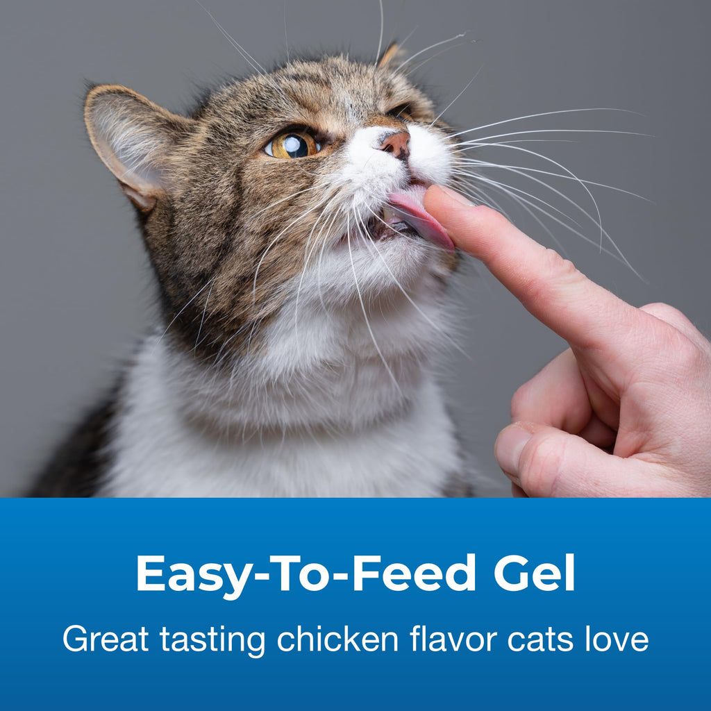 Hairball Solution Gel Supplement for Cats 3.5 oz K32184