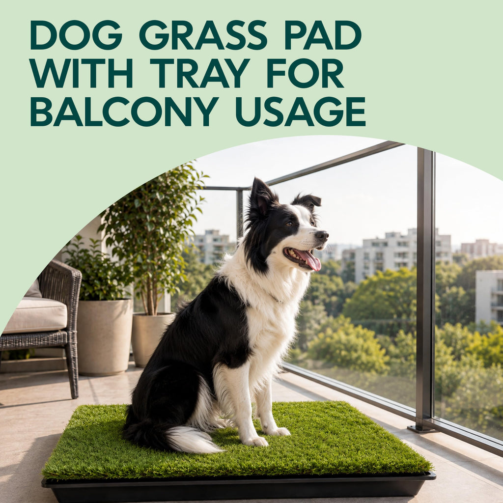 23”x35” Artificial Grass Dog Potty Pad with Tray G401